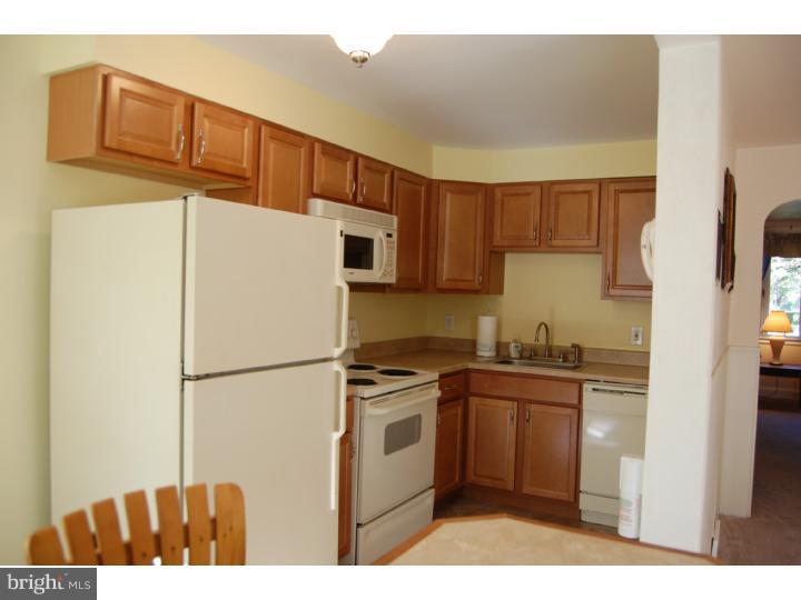 1002 Windsor Road Collingdale, PA 19023 - Photo 10 of 23 Kitchen