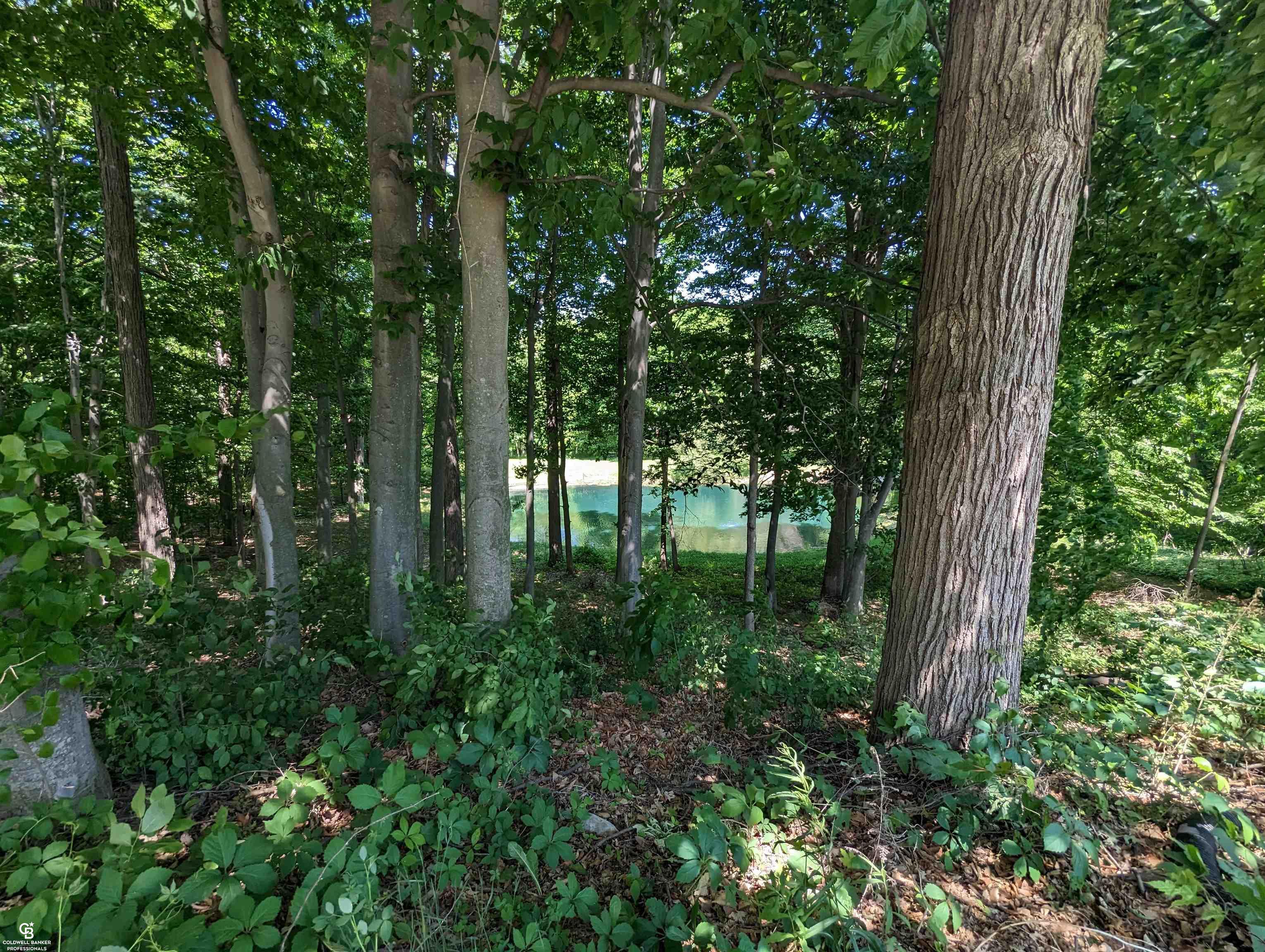 7362 Center Road Mayville, MI 48744 - Photo 56 of 61 50165149-8B507E33-E56B-4718-99AA-45235C1B692C.JPG