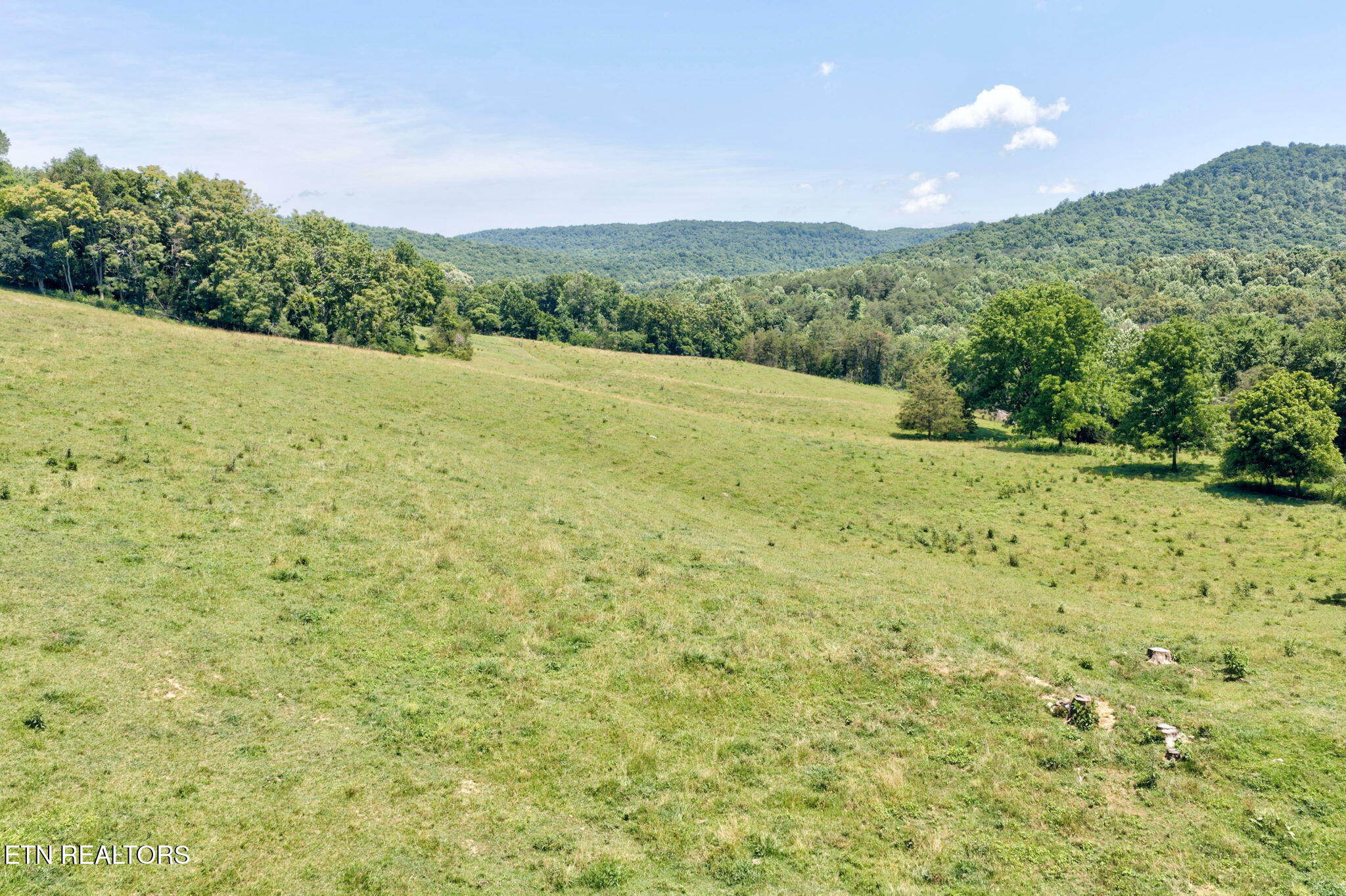 1252 Shellotte Loop Pall Mall, TN 38577 - Photo 54 of 60 58-web-or-mls-1252 Shellotte Loop_286_TN
