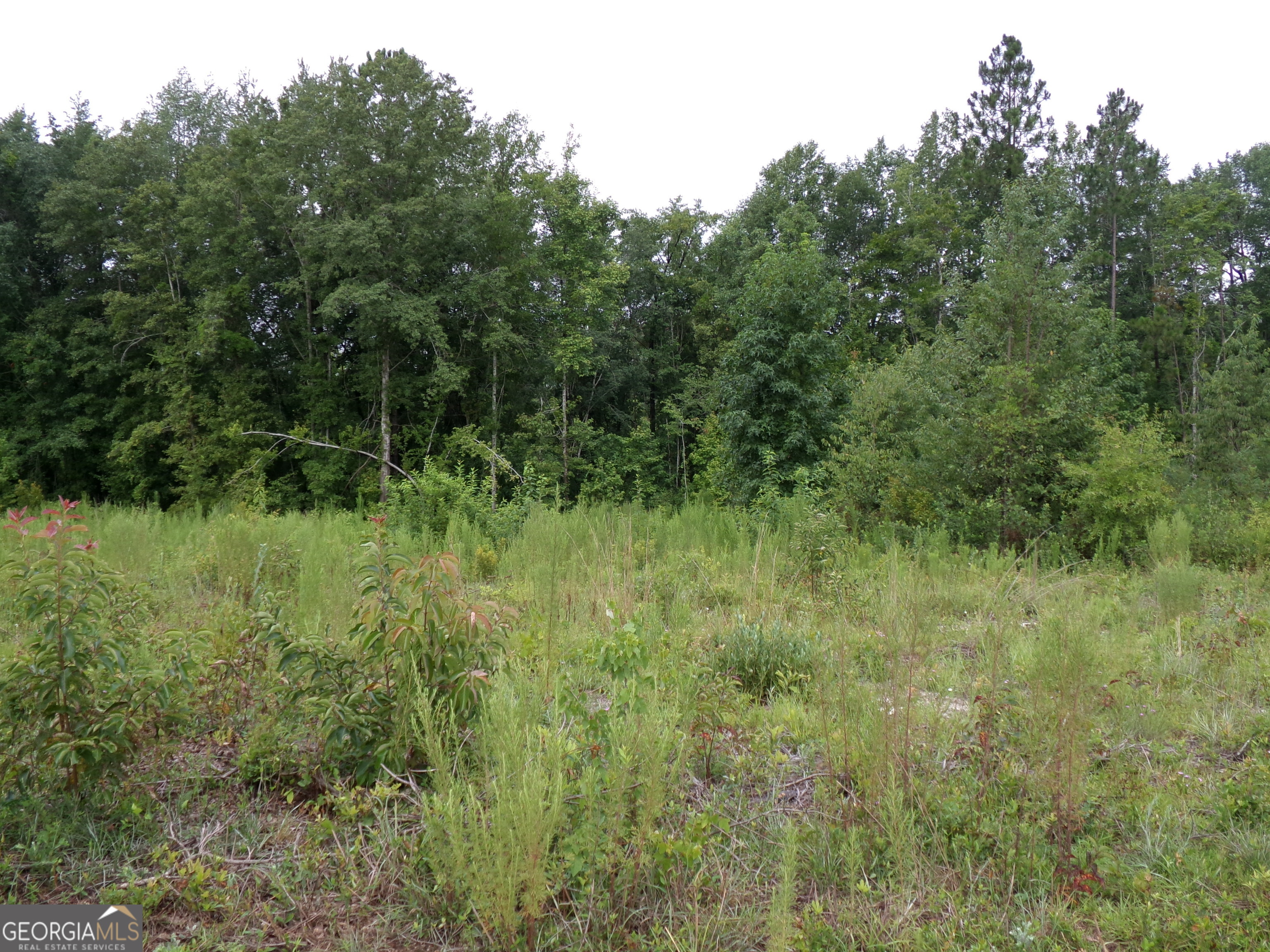 0 Mimosa Road Swainsboro, GA 30401 - Photo 1 of 1 Gallery Image 1