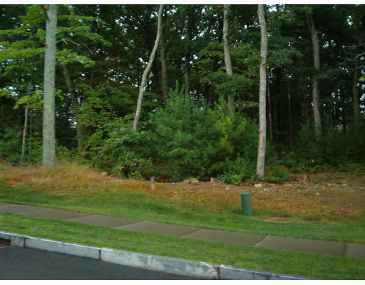 11 Eben Chamberlain Road Northbridge, MA 01588 - Photo 1 of 1 Gallery Image 1