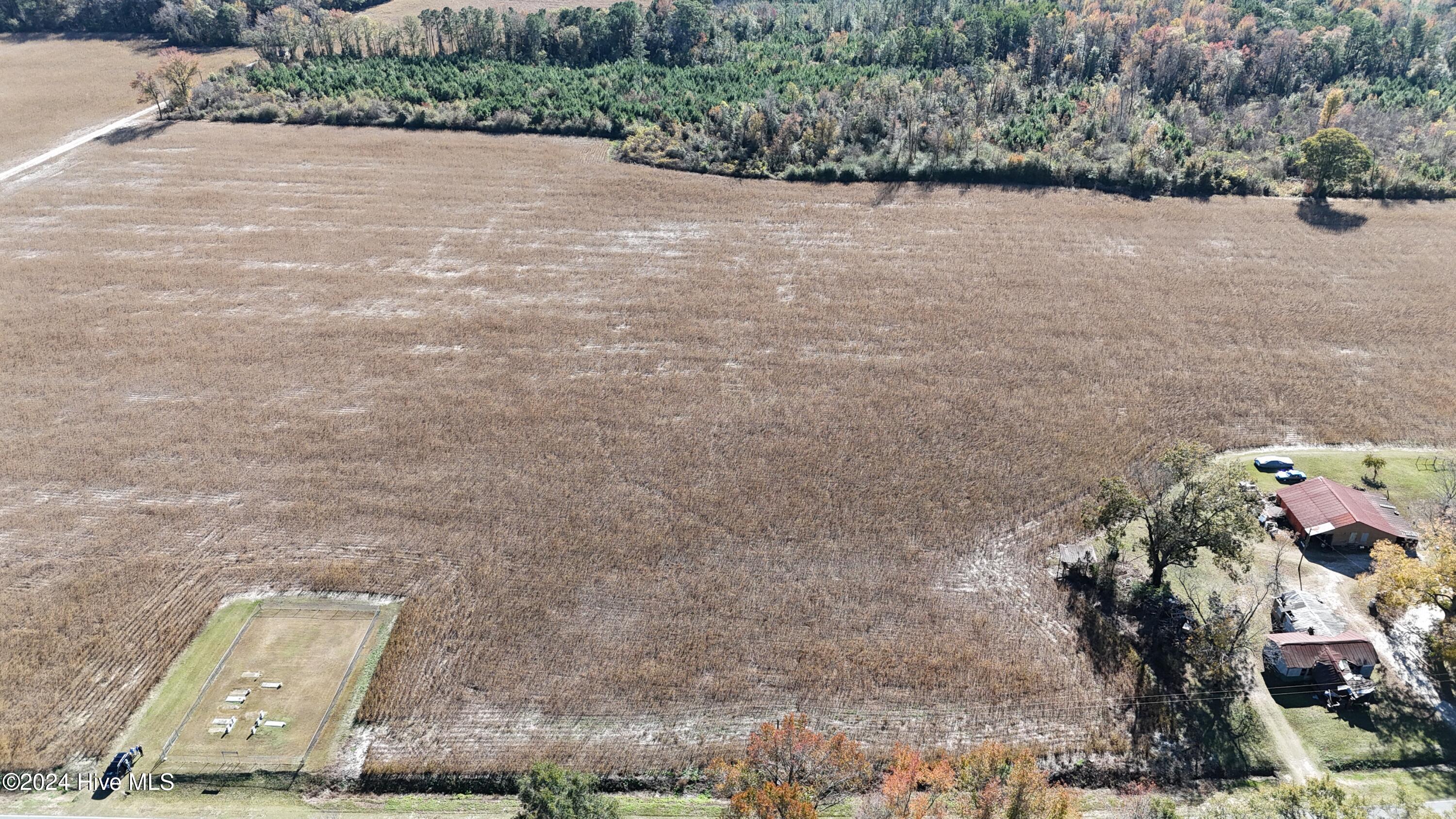Near Near Outlaws Bridge Road Albertson, NC 28508 - Photo 1 of 21 DJI_20241124124956_0049_D