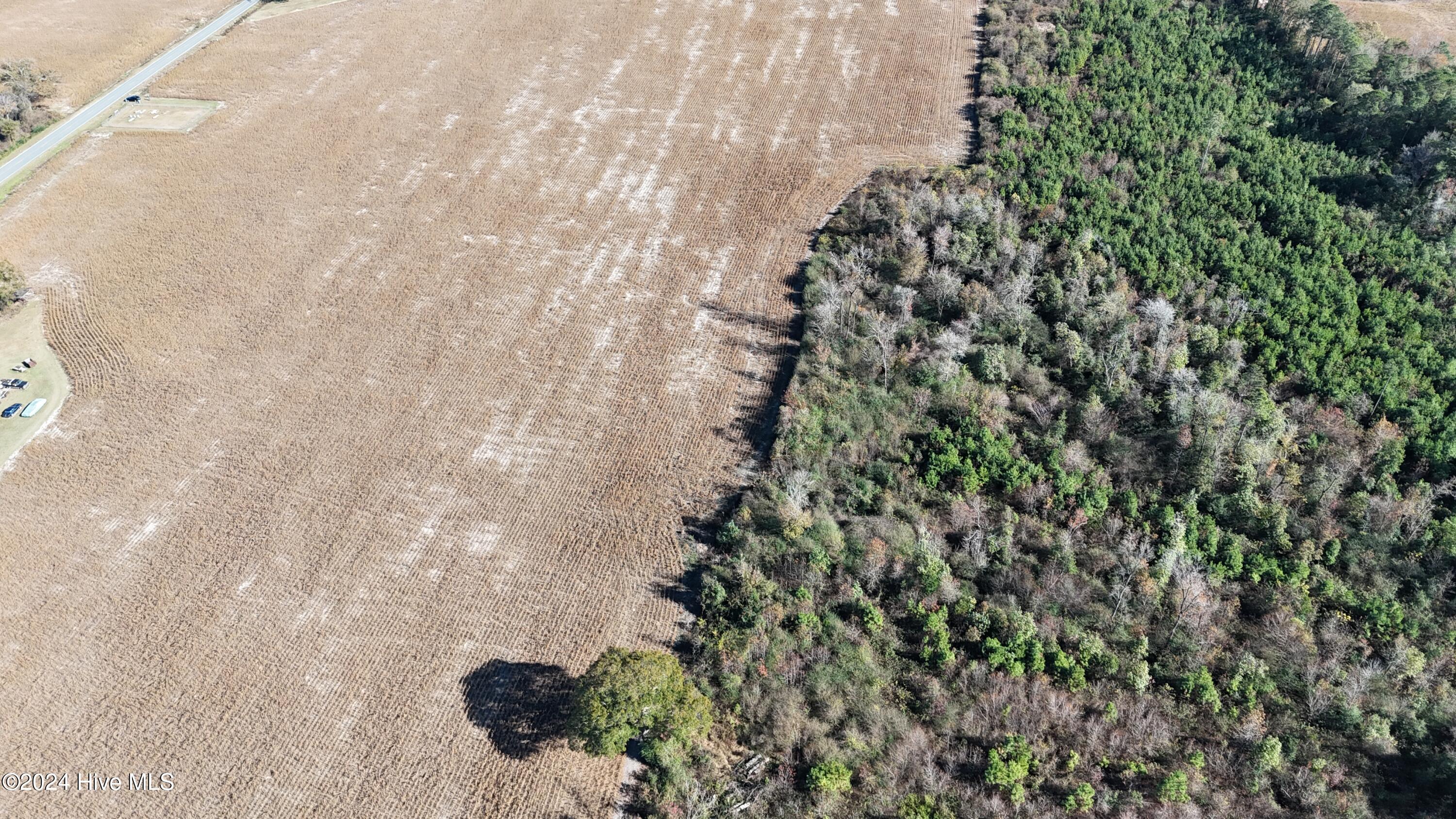 Near Near Outlaws Bridge Road Albertson, NC 28508 - Photo 13 of 21 DJI_20241124125418_0061_D