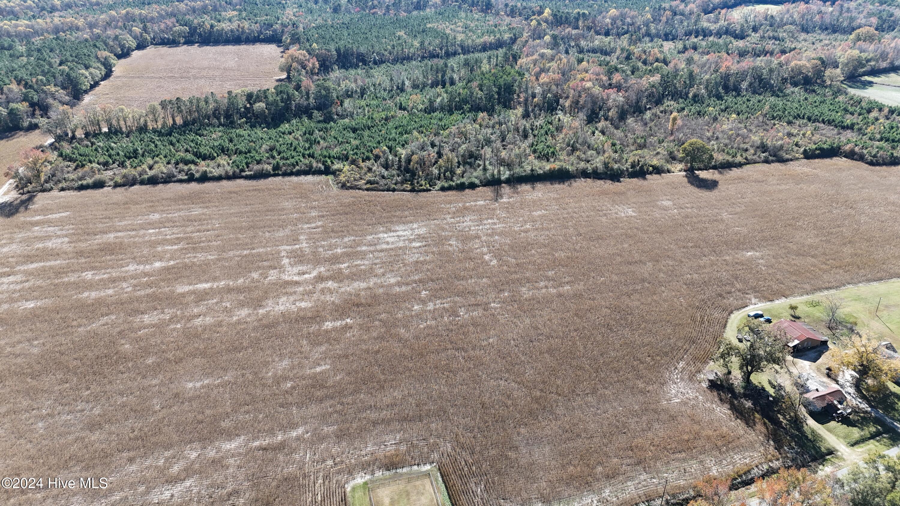 Near Near Outlaws Bridge Road Albertson, NC 28508 - Photo 3 of 21 DJI_20241124125039_0051_D