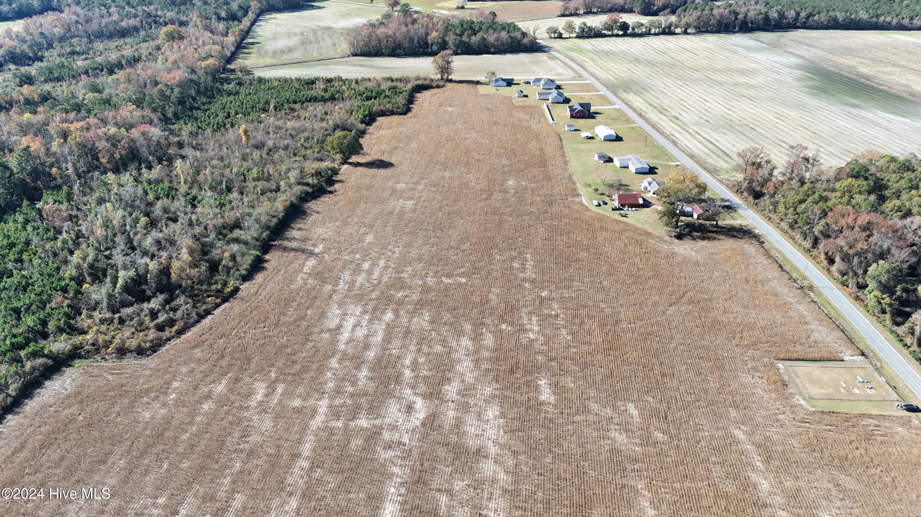 Near Near Outlaws Bridge Road Albertson, NC 28508 - Photo 5 of 21 DJI_20241124125129_0053_D