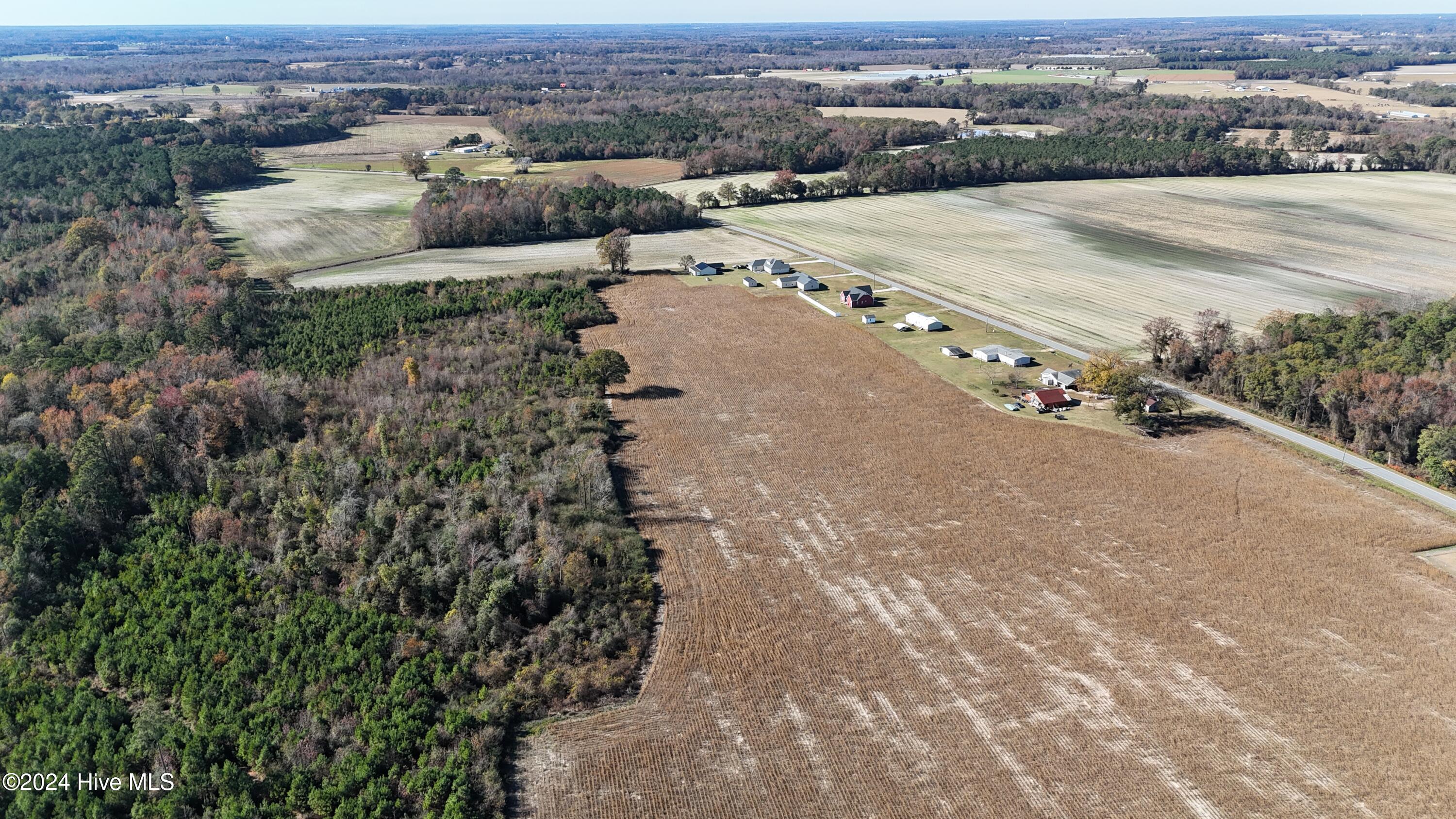 Near Near Outlaws Bridge Road Albertson, NC 28508 - Photo 7 of 21 DJI_20241124125157_0055_D