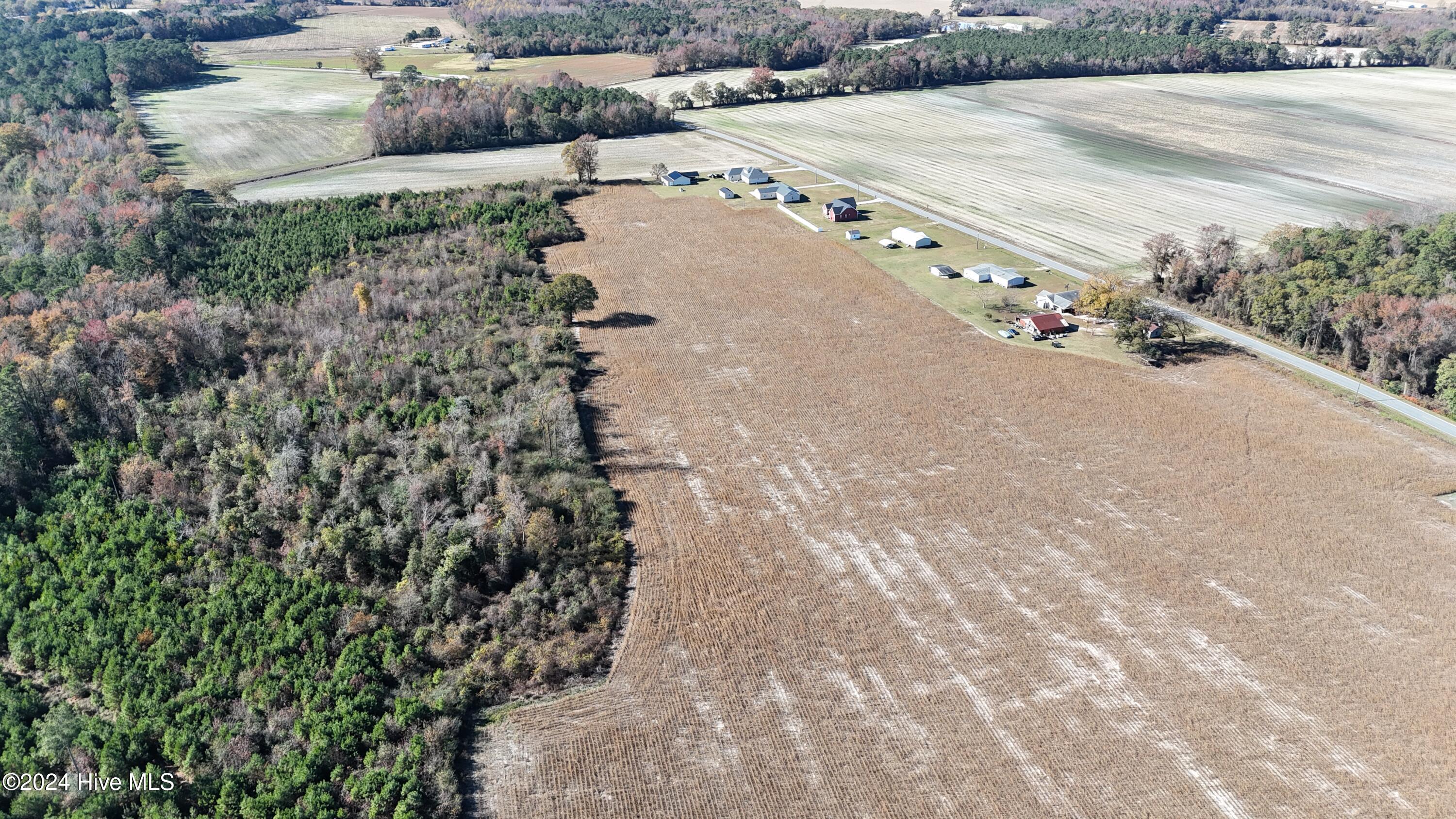 Near Near Outlaws Bridge Road Albertson, NC 28508 - Photo 8 of 21 DJI_20241124125209_0056_D