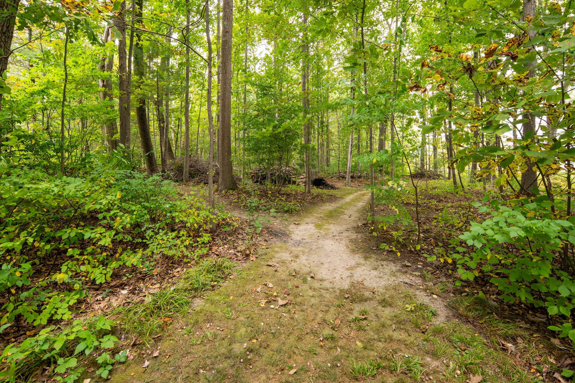 701 River Road Eliot, ME 03903 - Photo 40 of 42 Path to Vernal Pool