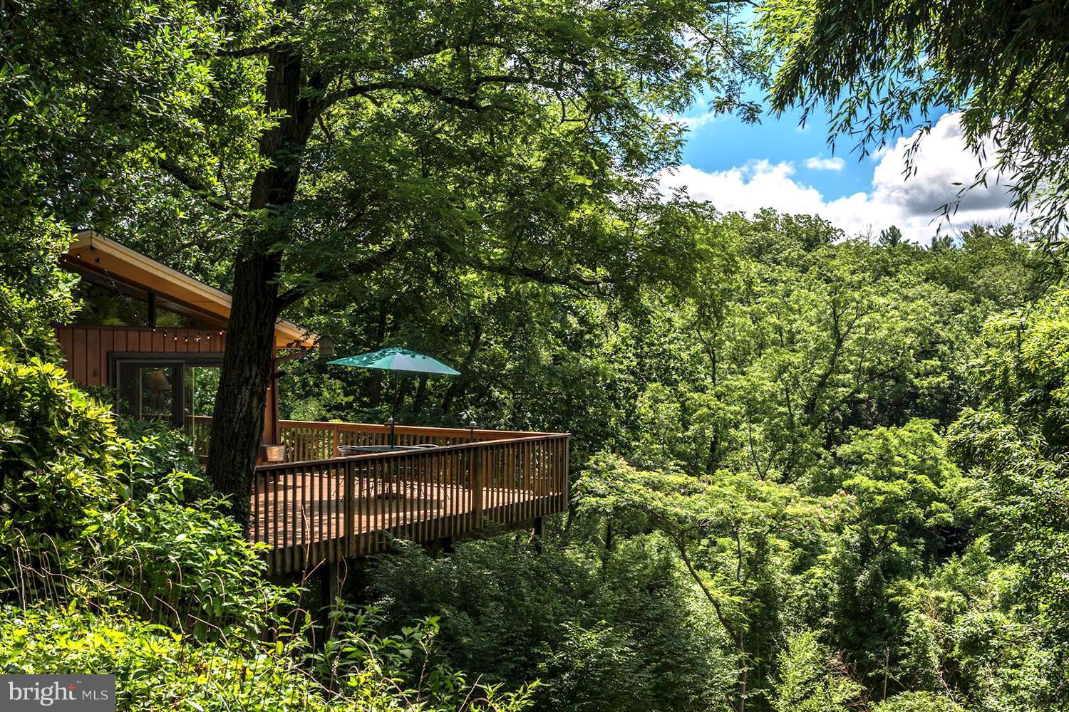 1607 Riverside Drive Annapolis, MD 21409 - Photo 3 of 30 Dining Deck Perched High Among the Treetops