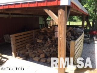 29295 Sycamore Road Centralia, IL 62801 - Photo 18 of 37