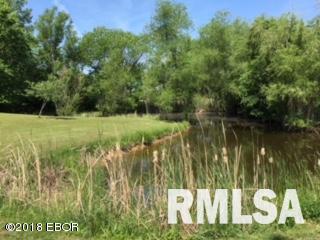 29295 Sycamore Road Centralia, IL 62801 - Photo 8 of 37