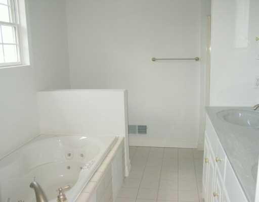 213 Clark Road Perryopolis, PA 15473 - Photo 6 of 8 Master Bath/Spa.