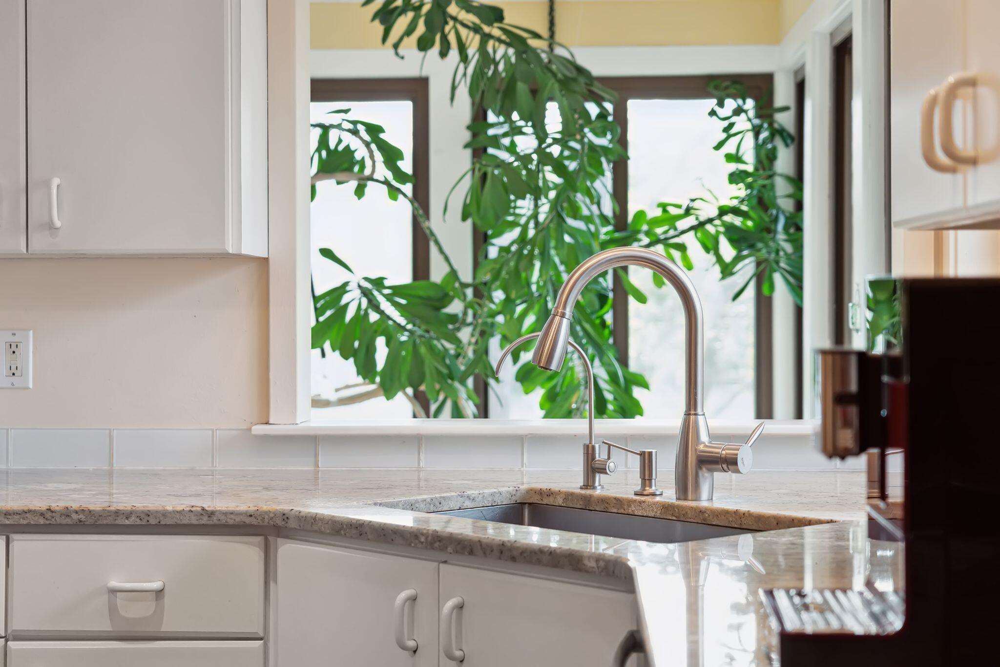636 Cain Drive Mount Pleasant, SC 29464 - Photo 18 of 37 Lovely view from kitchen sink