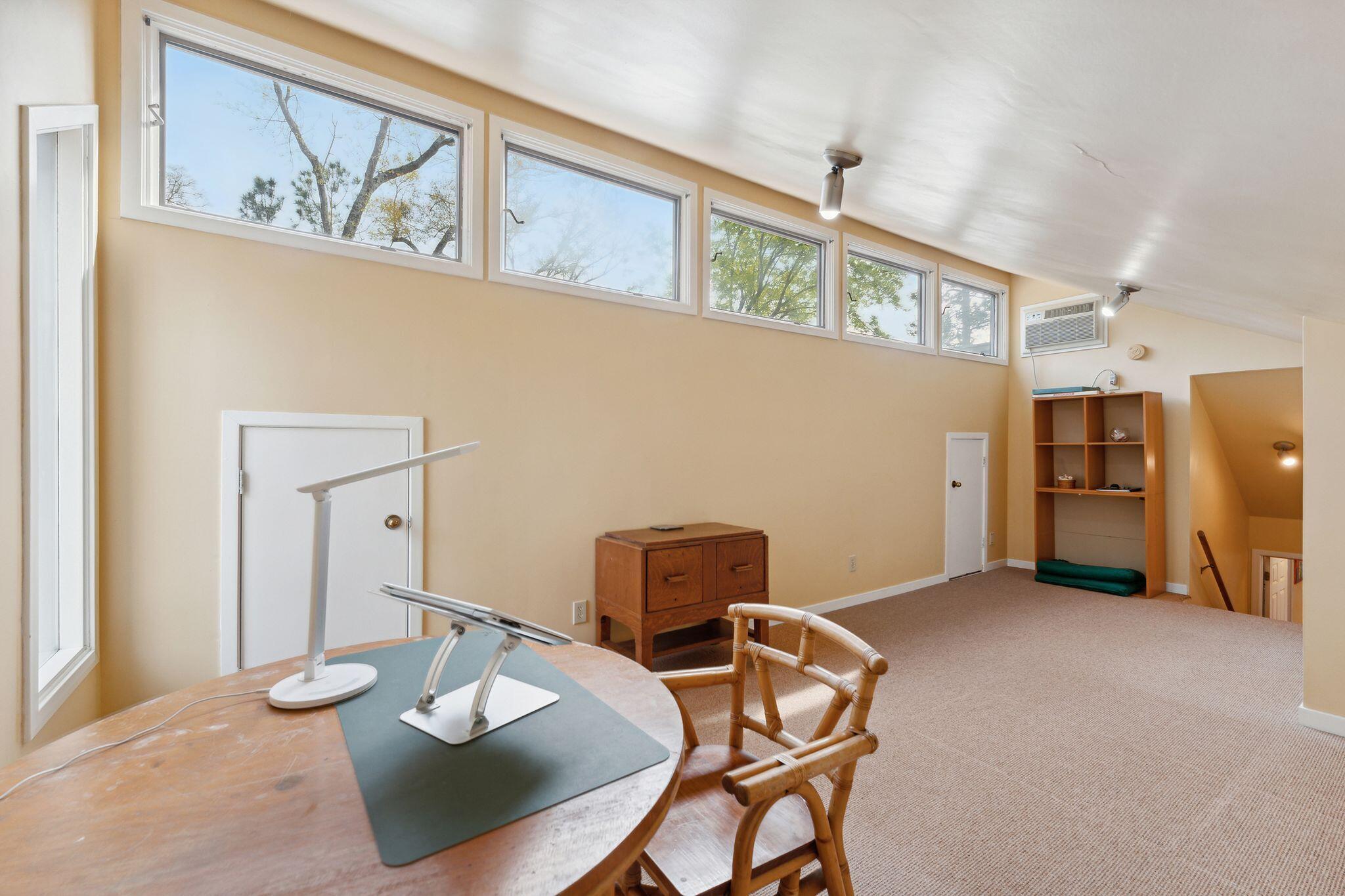 636 Cain Drive Mount Pleasant, SC 29464 - Photo 29 of 37 Natural light in Frog