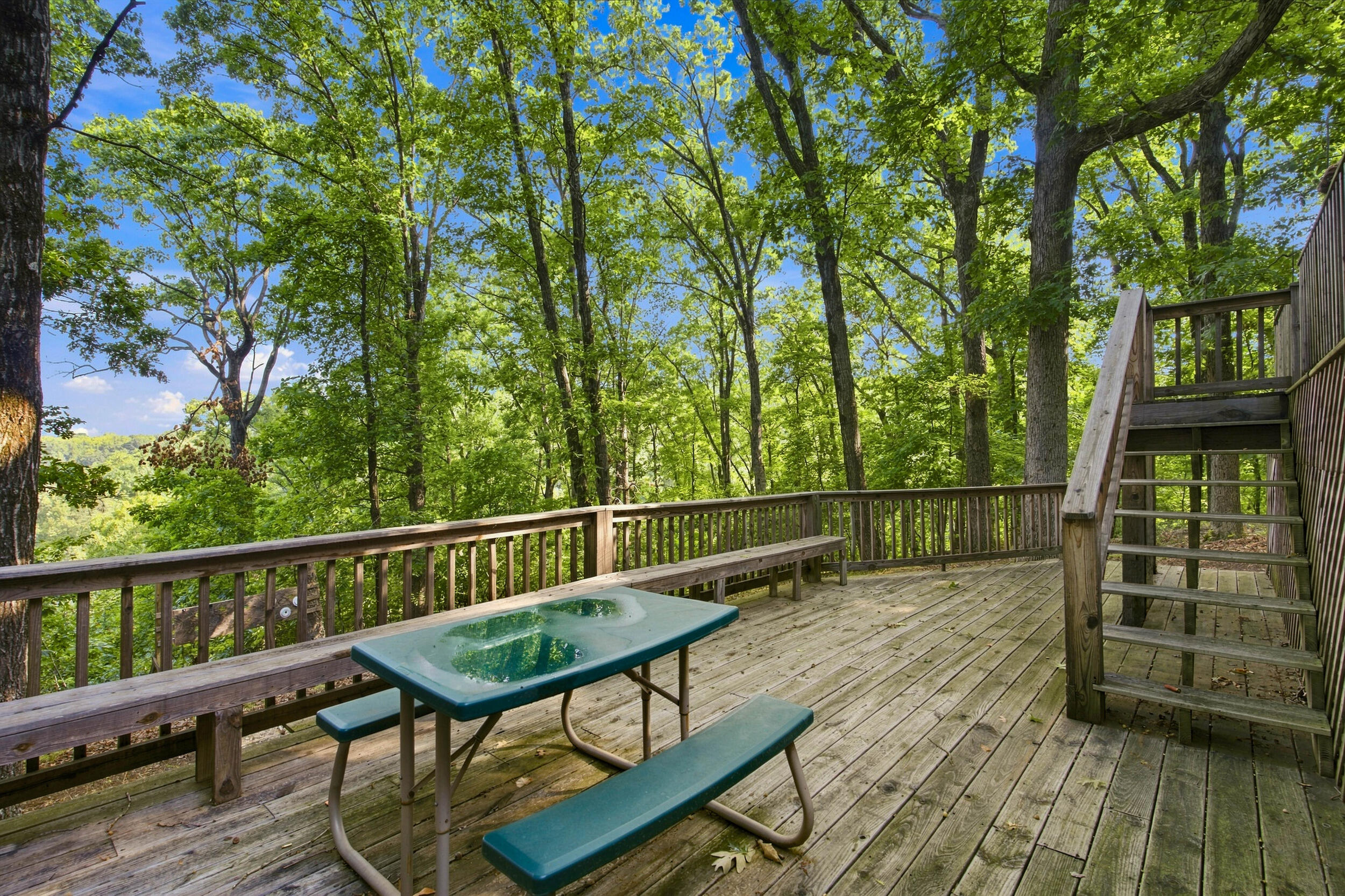 24709 Wolfe Road Washburn, MO 65772 - Photo 4 of 50 23__dsc2021