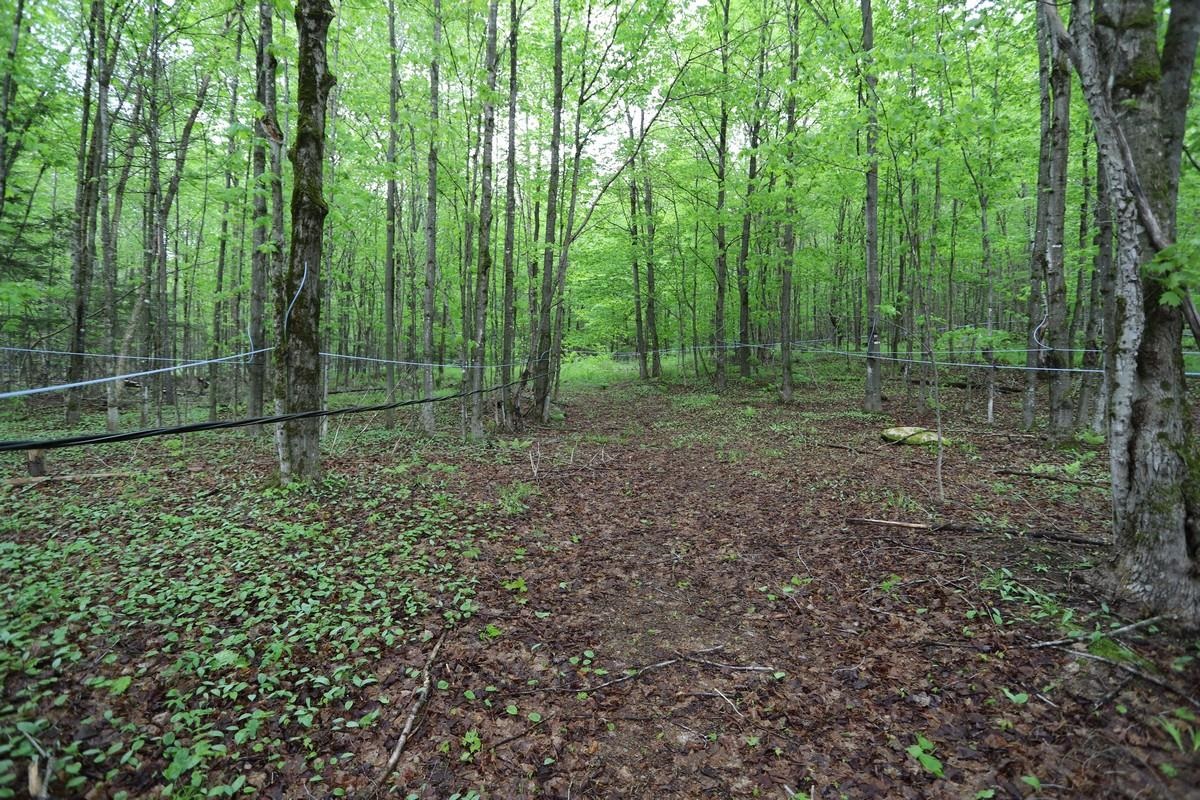 760 Spencer Hill Road Coventry, VT 05855 - Photo 36 of 52