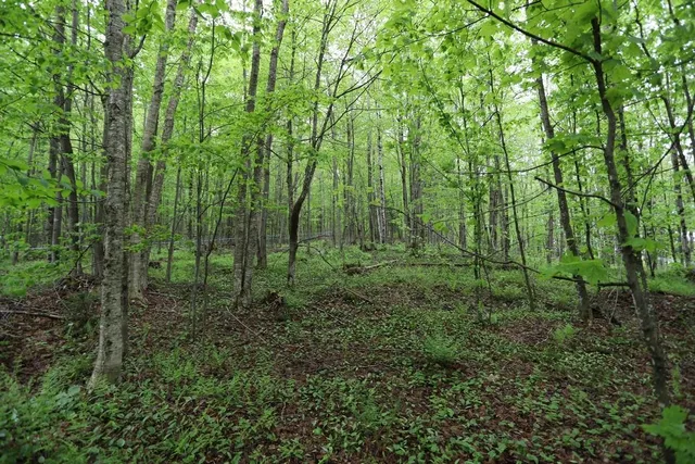 $495,000 | 760 Spencer Hill Road, Coventry, VT 05855