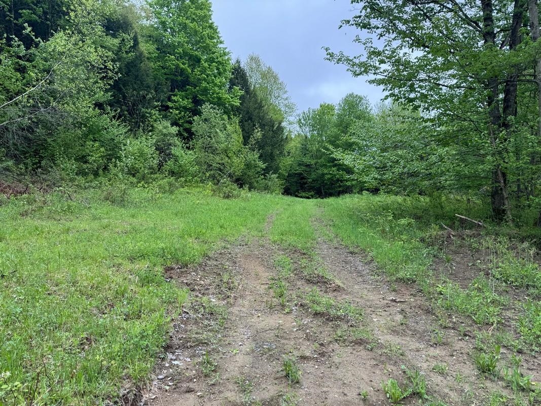 760 Spencer Hill Road Coventry, VT 05855 - Photo 45 of 52