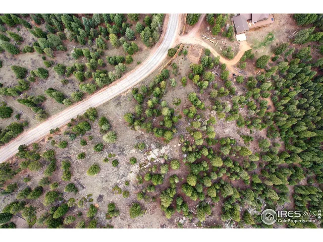 a view of a plant in a garden