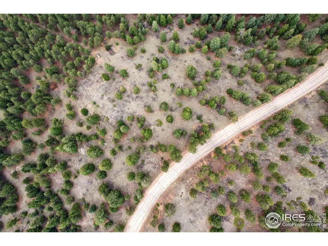 a close up of a plant in a balcony