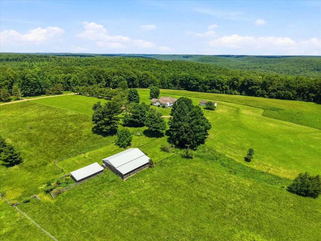 867 Sutton Road Grand Valley, PA 16420 - Photo 9 of 53