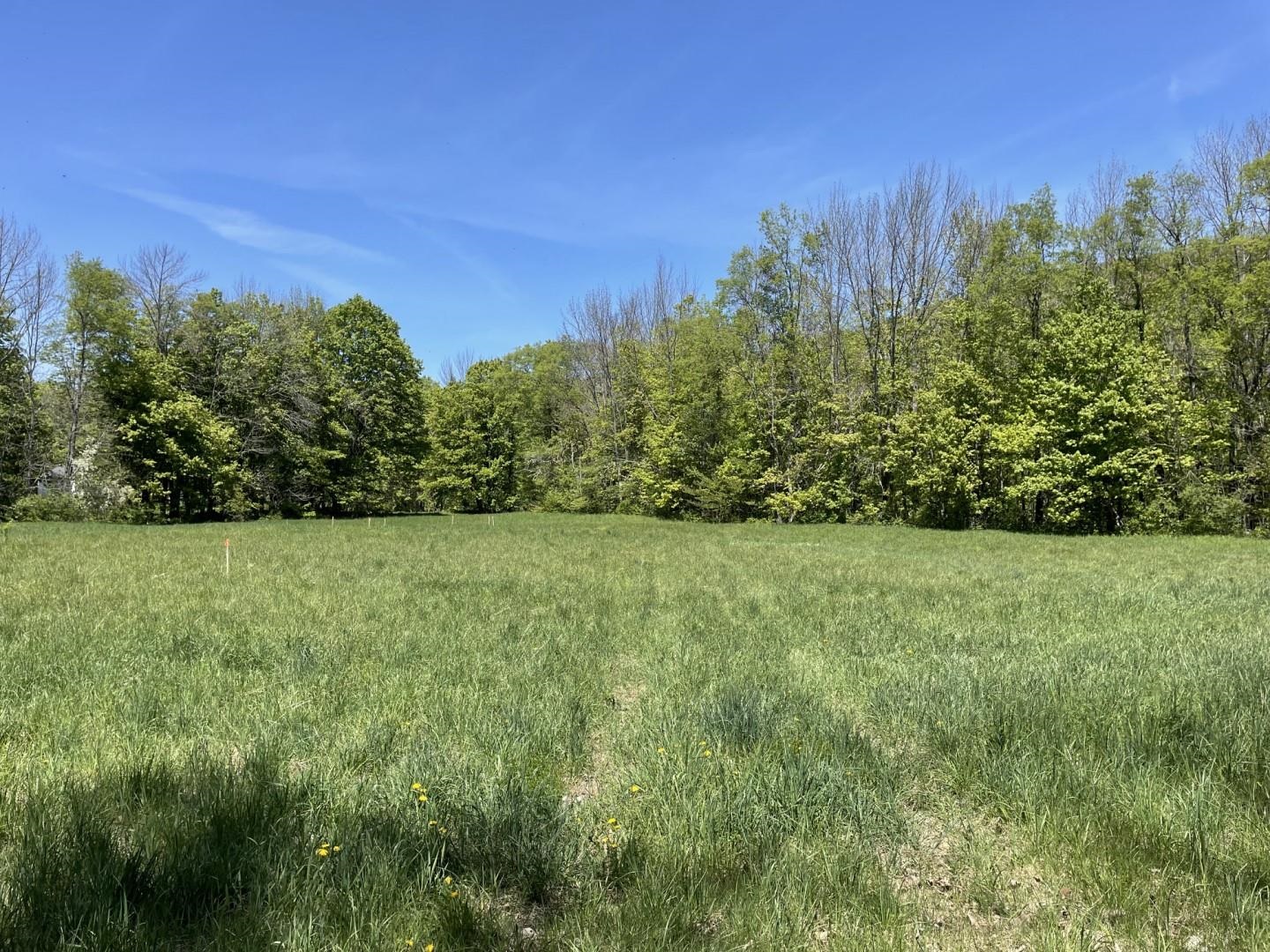 700 Weston-Andover Road Andover, VT 05143 - Photo 1 of 16