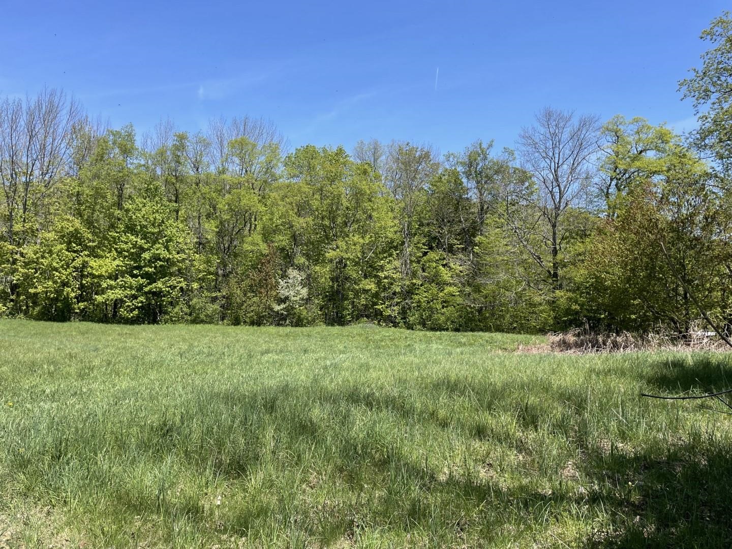 700 Weston-Andover Road Andover, VT 05143 - Photo 2 of 16