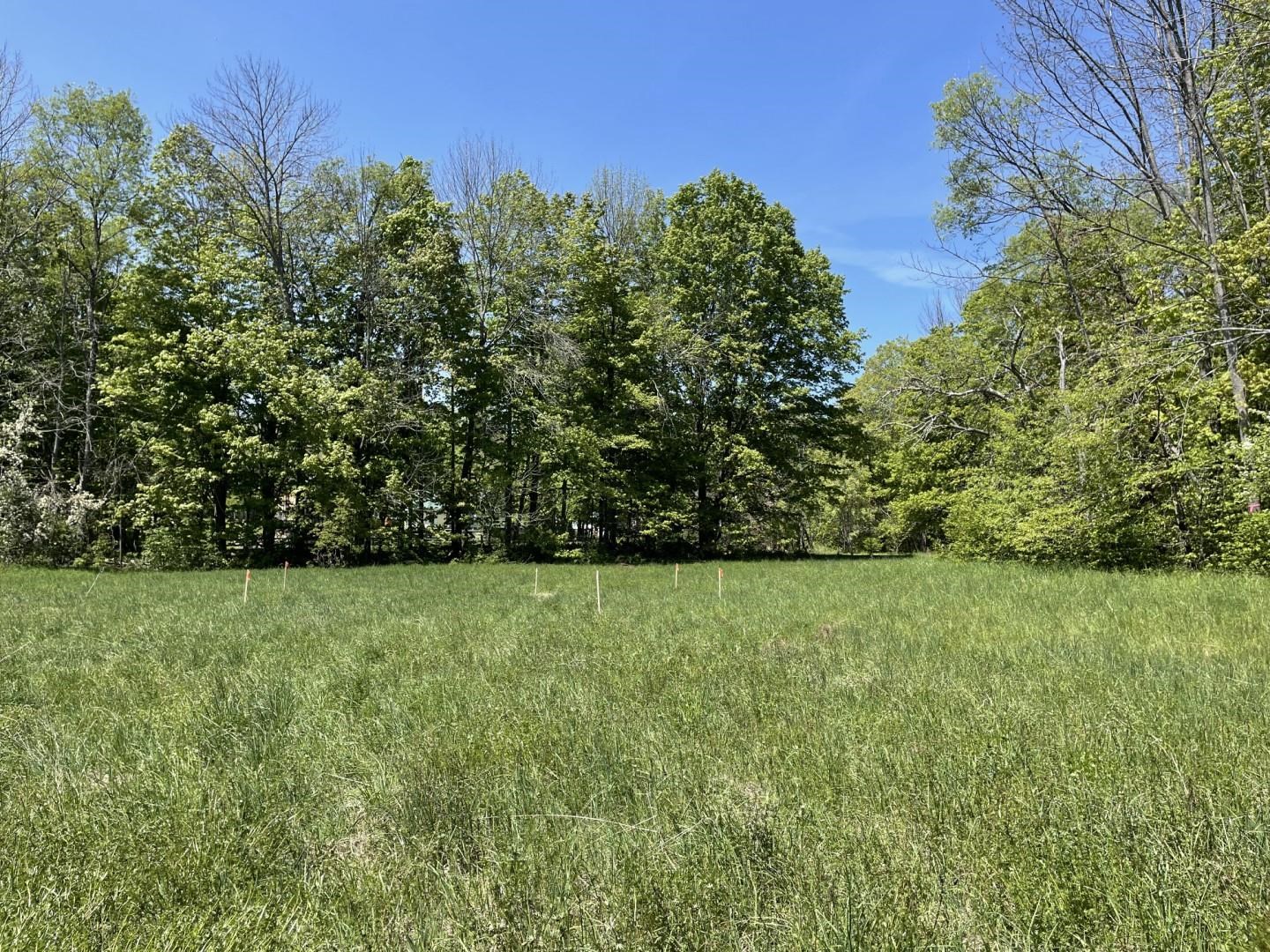 700 Weston-Andover Road Andover, VT 05143 - Photo 4 of 16