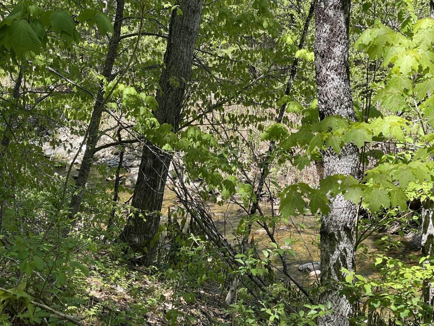 700 Weston-Andover Road Andover, VT 05143 - Photo 8 of 16