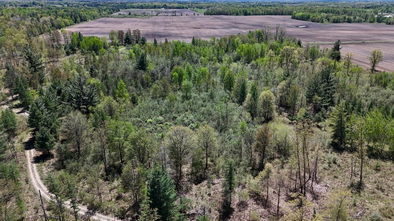 La Grant Road Alger, MI 48610 - Photo 40 of 46 031