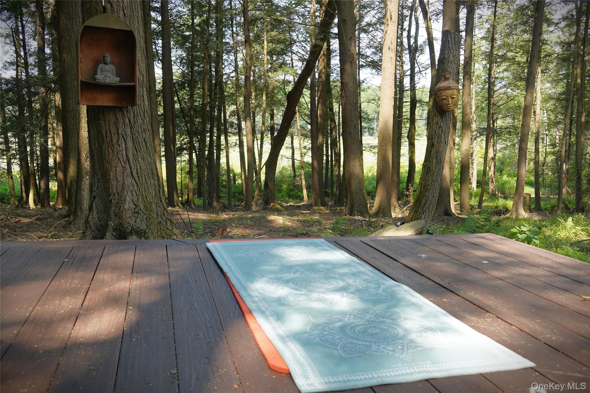 521 Perry Road Swan Lake, NY 12783 - Photo 23 of 32 a view of backyard space