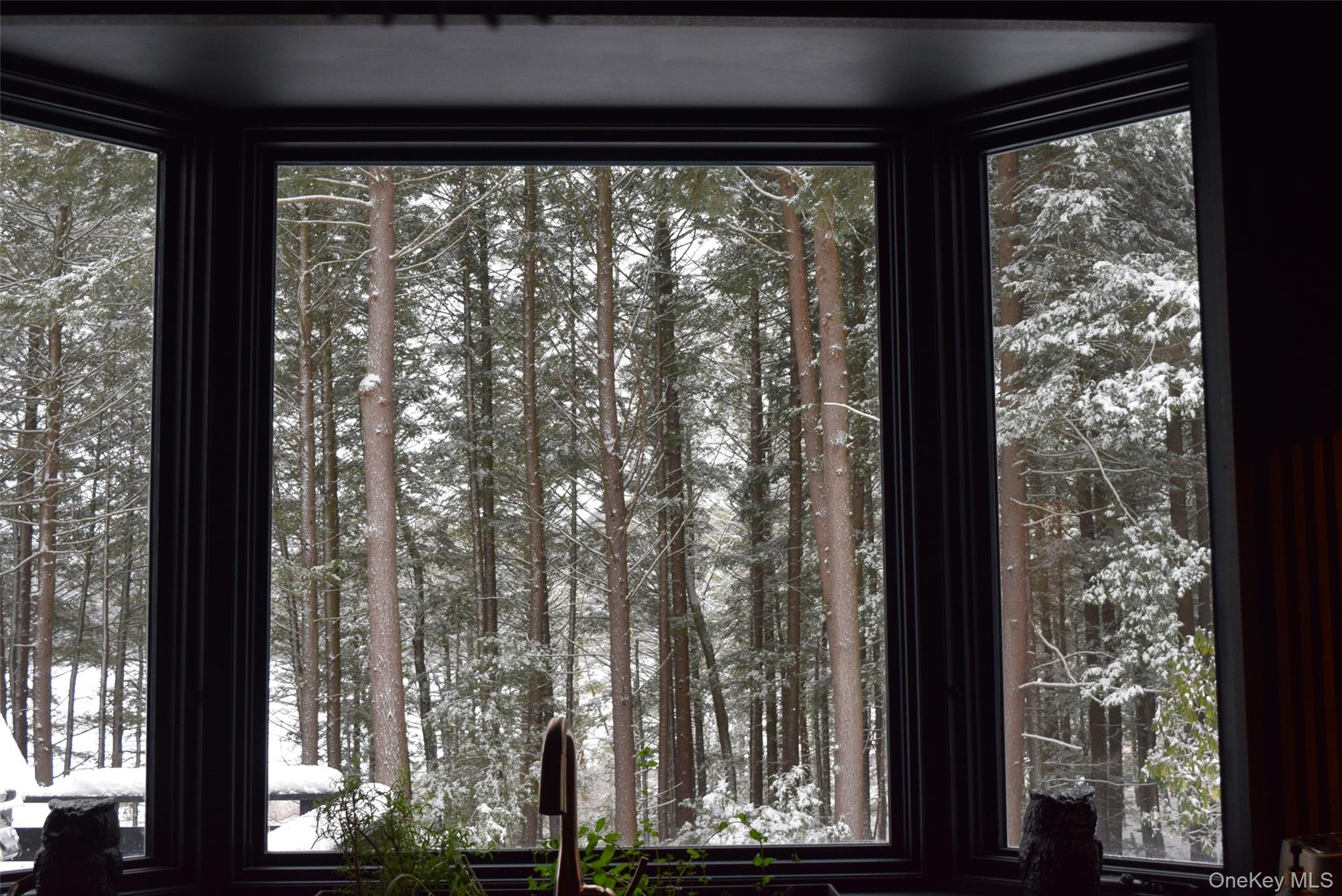 521 Perry Road Swan Lake, NY 12783 - Photo 25 of 32 a view of a yard from a window