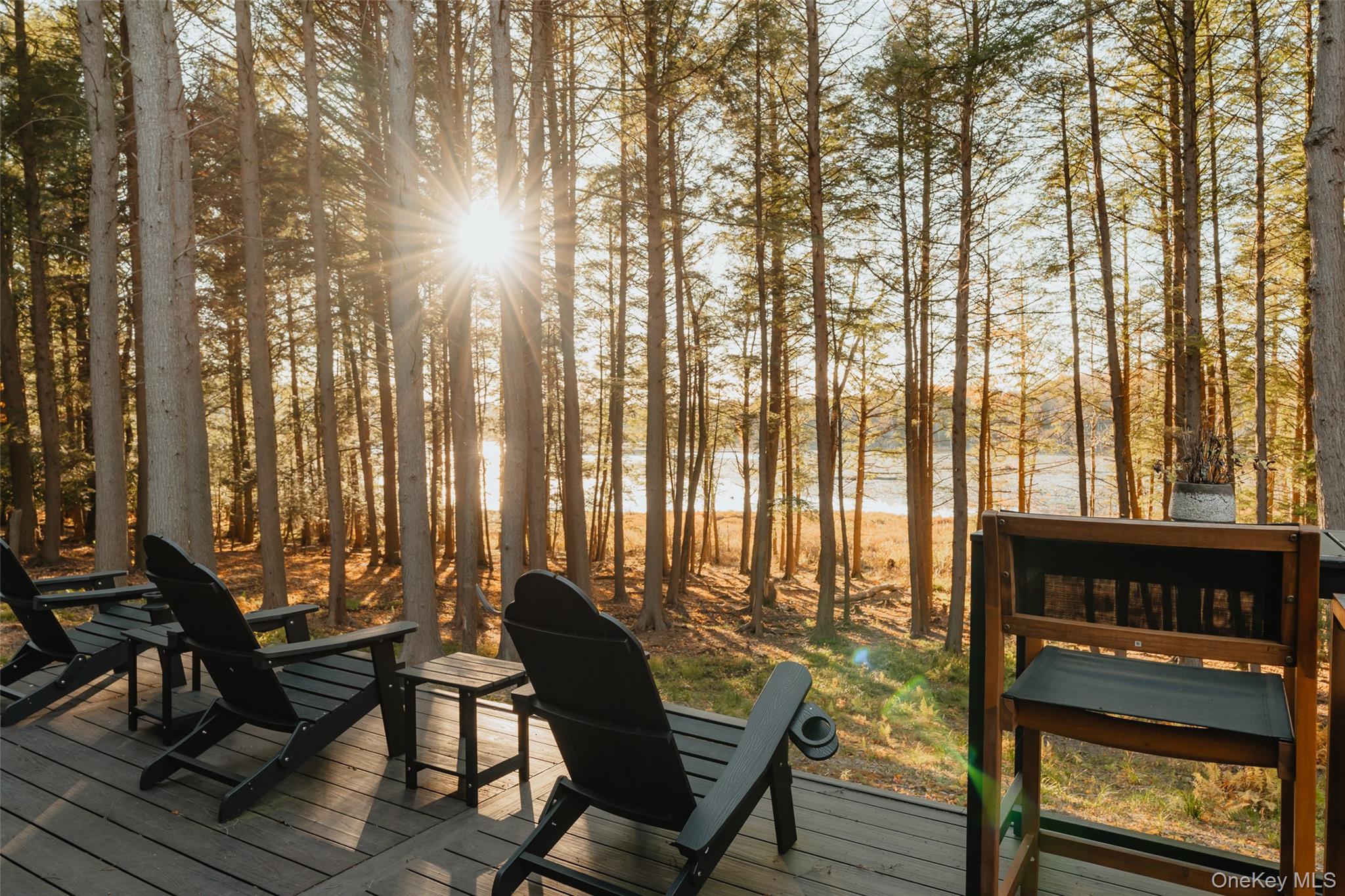 521 Perry Road Swan Lake, NY 12783 - Photo 3 of 32 a living room with furniture and large windows
