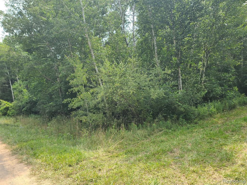 0 Pringle Road Cass City, MI 48726 - Photo 4 of 5 Gallery Image 4