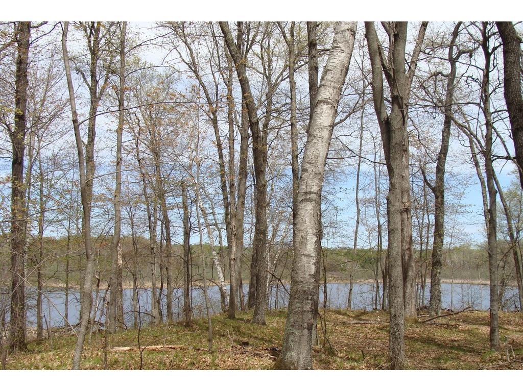 Xxx Hopkins Road Webster, WI 54893 - Photo 1 of 1