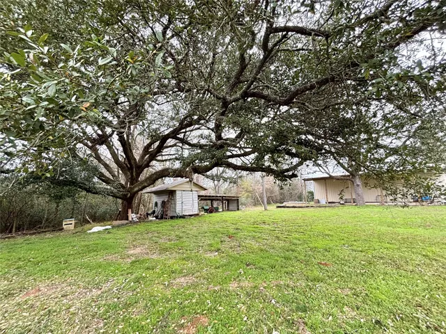 a yellow house in middle of the forest