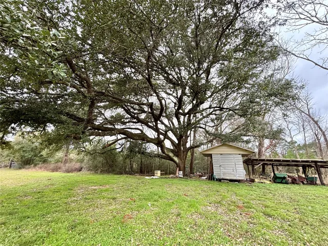 a view of a swimming pool and trees in the background