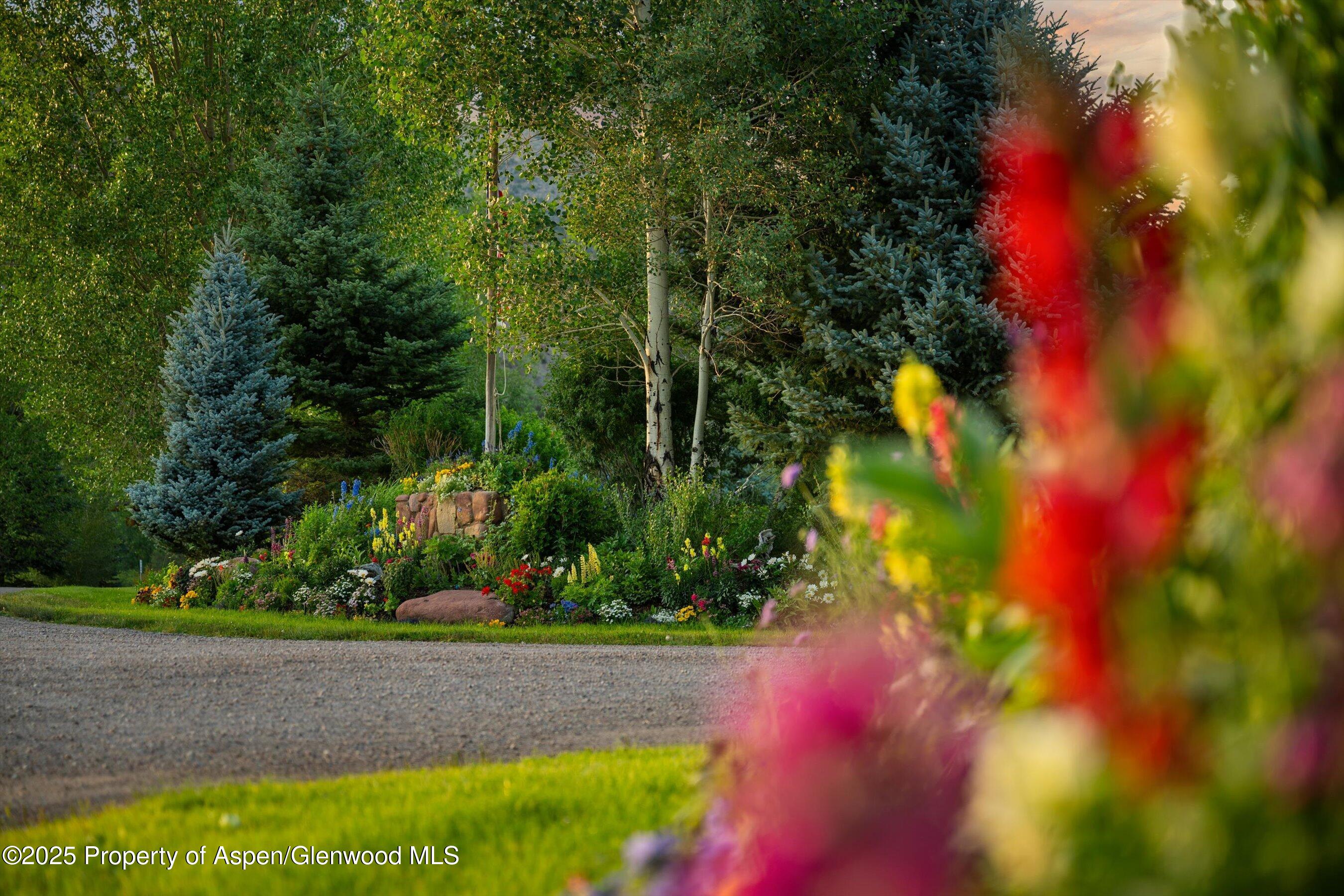 Tbd Lazy O Road Snowmass, CO 81654 - Photo 2 of 44 a view of a tree