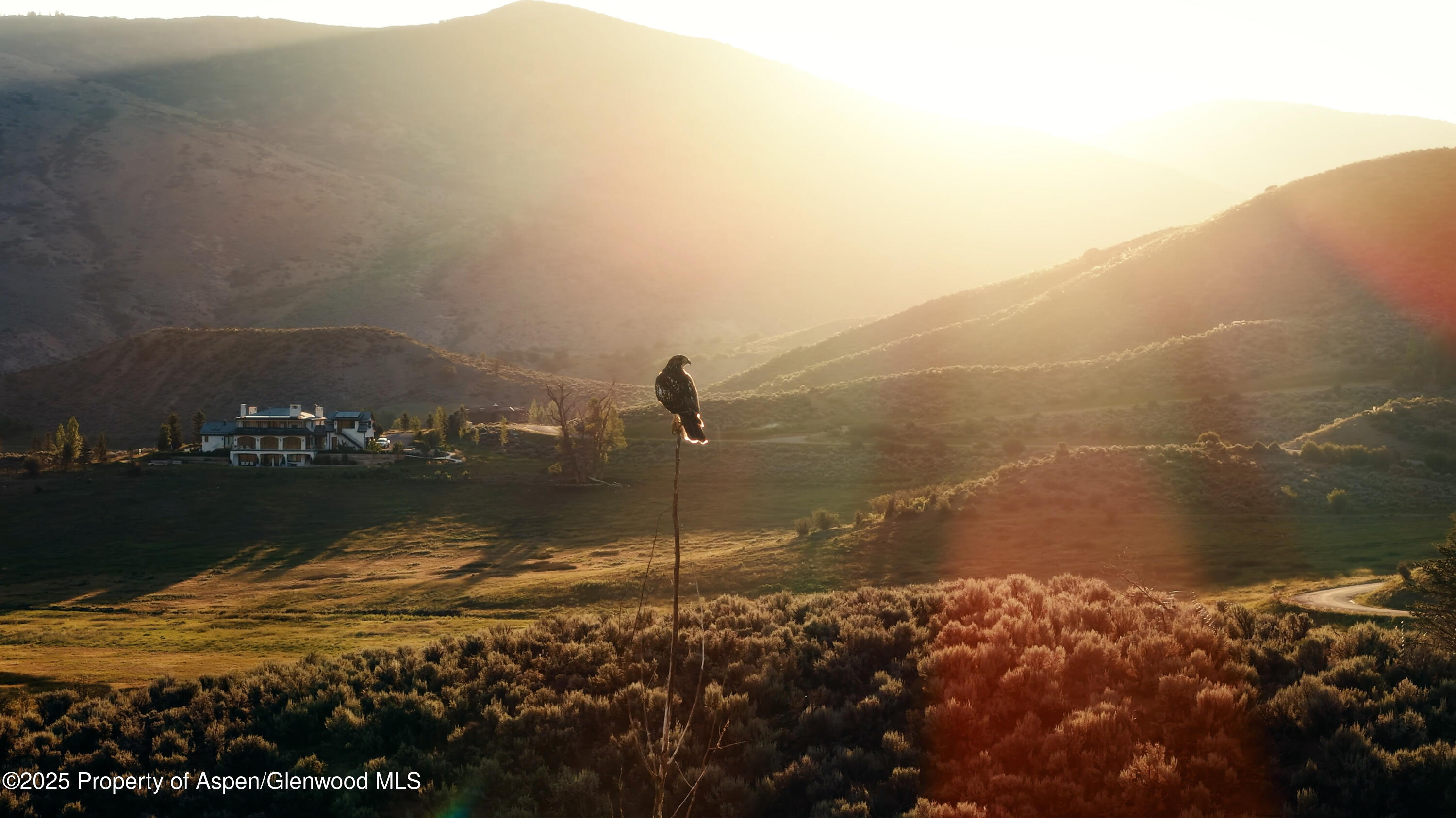 Tbd Lazy O Road Snowmass, CO 81654 - Photo 7 of 44 Screengrab3