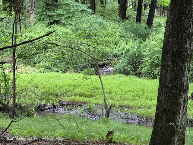 a view of a garden with a tree