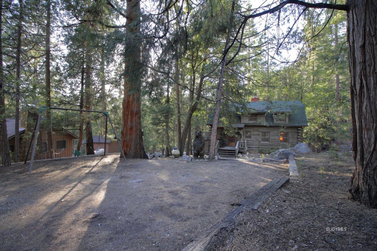 24745 Fern Valley Road Idyllwild, CA 92549 - Photo 32 of 48 a view of a forest with trees in the background