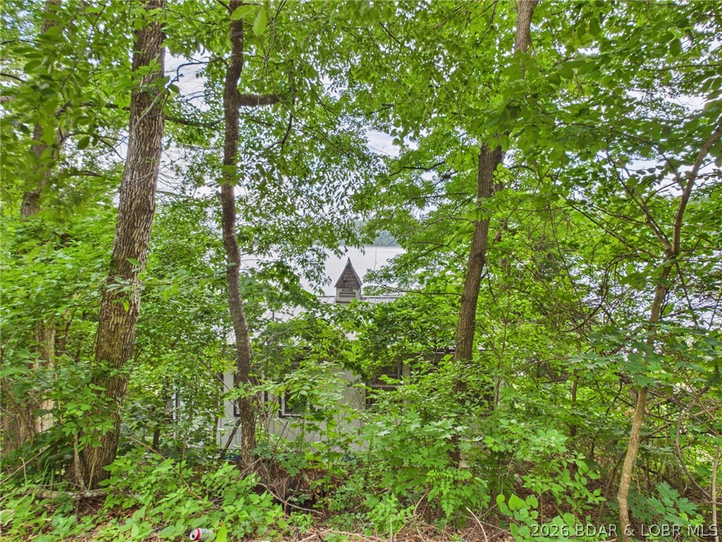 1122 Laura Hufferd Road Roach, MO 65787 - Photo 63 of 69