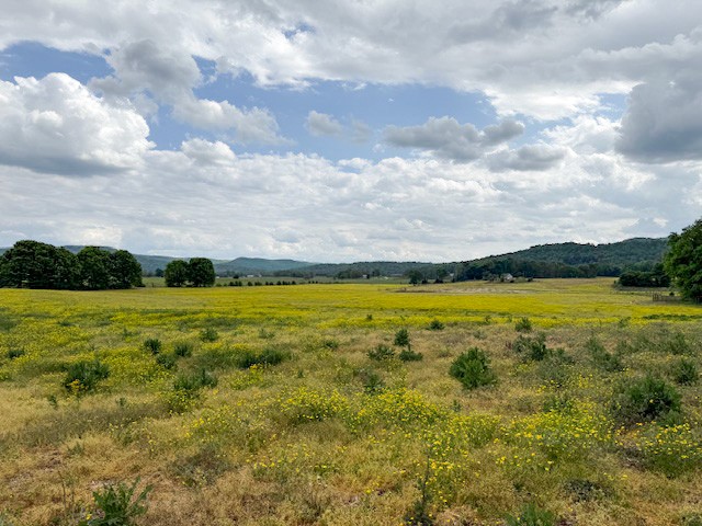 2730 Spencer Road Rock Island, TN 38581 - Photo 11 of 27