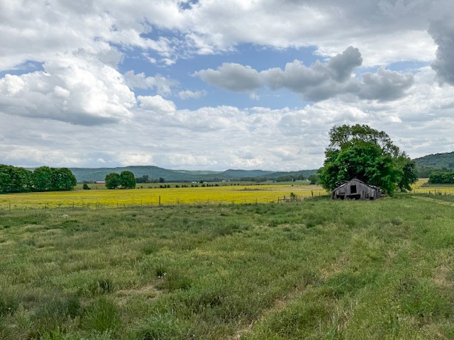 2730 Spencer Road Rock Island, TN 38581 - Photo 25 of 36