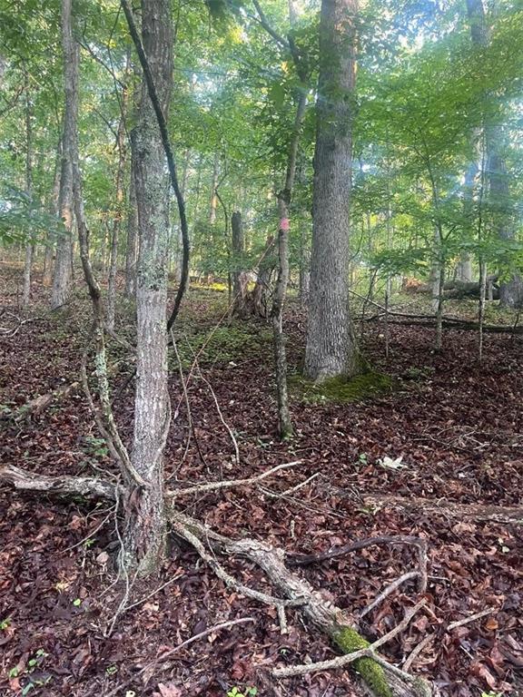 6047 Belle Meade Drive Villa Rica, GA 30180 - Photo 2 of 17 a view of a forest with trees