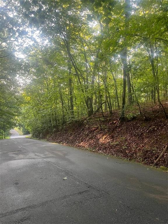 6047 Belle Meade Drive Villa Rica, GA 30180 - Photo 3 of 17 a view of a forest with trees in the background