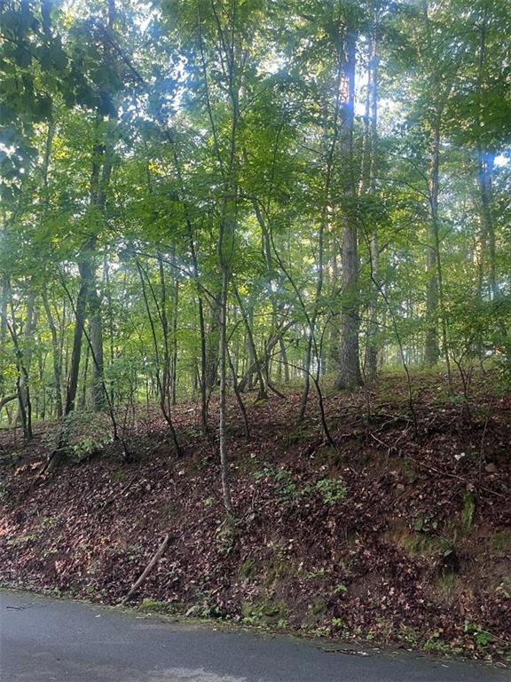 6047 Belle Meade Drive Villa Rica, GA 30180 - Photo 4 of 17 a view of a forest that has large trees