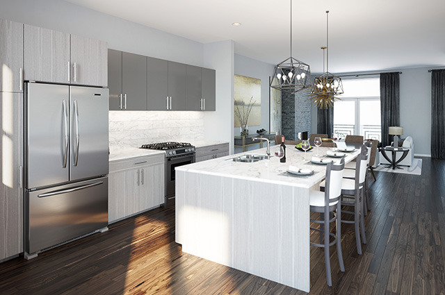 733 West 15th Street, Unit 16 Chicago, IL 60607 - Photo 5 of 6