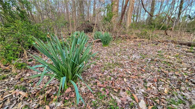 $215,000 | 650 N East County Road, Austin, IN 47102