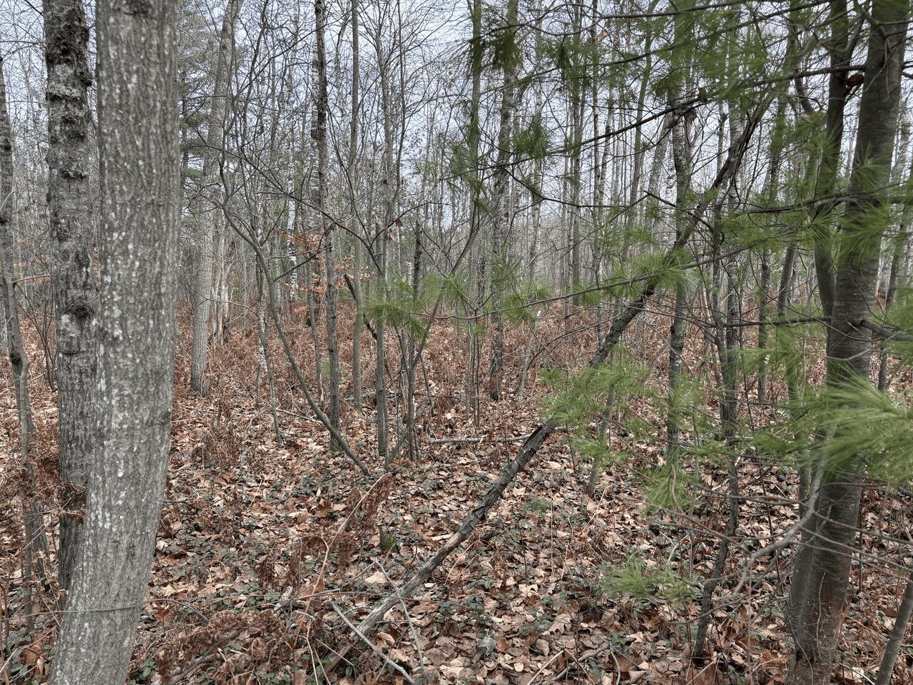 5197 Sunset Trail Road Northeast Kalkaska, MI 49646 - Photo 55 of 69 Gallery Image 55